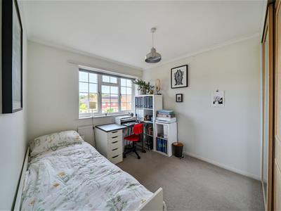 Picture 17